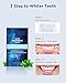 Gloridea Teeth Whitening Strips, Pack of 28 Strips (14 Treatments), Mint flavor Package may vary