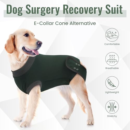 Image of IDOMIK Dog Recovery Suit for Neuter Spay,Anti-Licking Dog Surgical Bodysuit