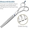 Fenice Professional 7/7.5/8 Pet Grooming Scissors Thinning Cutting Shears for Dog s/Cats Thinning Rate:70-80% (7.0 inch)