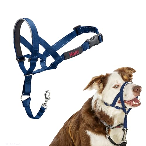 Image of Halti Headcollar for Dogs | Size 2, Cobalt Blue | Stop Your Dog Pulling on the Leash | Adjustable, Reflective, Lightweight | Padded Nose Band | Training Collar for Medium Dogs