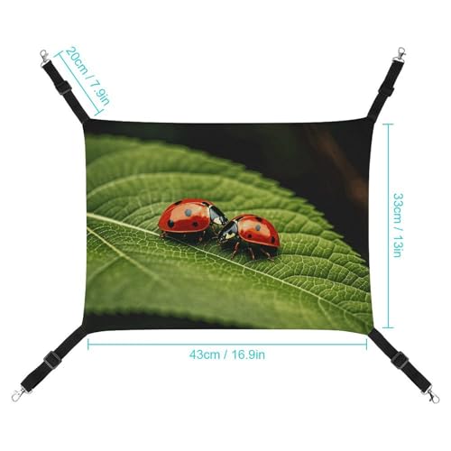 Hamac pour chat suspendu anti-stress avec feuilles et coccinelles - 3