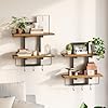   urban country home decor