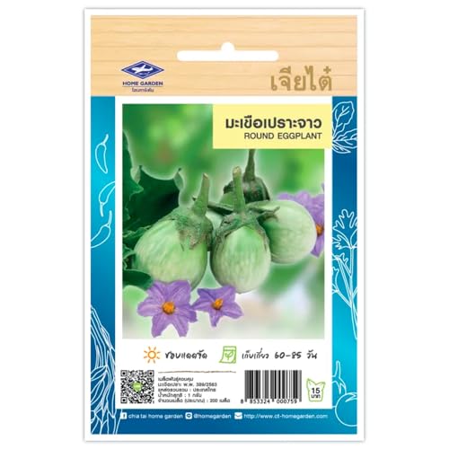 Aubergine Thaï, Round Eggplant, Graines de légumes – Sachet de 200 Graines, Aubergines Thaïlandais CHIA TAI