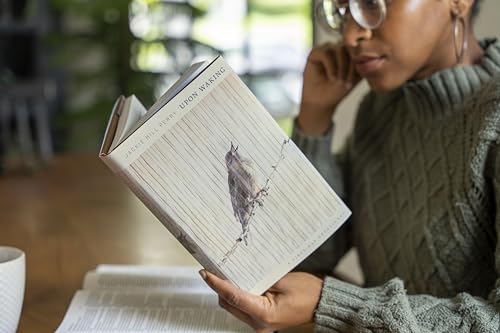Image of Upon Waking: 60 Daily Reflections to Discover Ourselves and the God We Were Made For