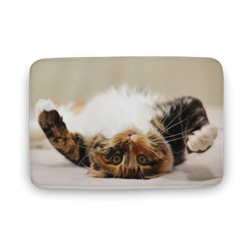 L   oX}bg z/唻 փ}bg  O   傫 ~ Aj LN^[ @}bg   ʏ