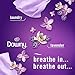 Febreze Odor-Fighting Fabric Refresher, Downy Calm and Downy April Fresh, 16.9oz, 2 pack