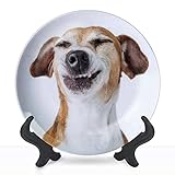 Ceramic Hanging Decorative Plate Funny dog disgust denial disagreement face Dont like that grins Wall Plate Ceramic Ornament for Home & Office, Dining, Parties, Wedding 8' Collector Plate