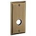 Baldwin R034.PS Pair of 5.25" Height Square Passage Rosettes, Satin Brass and Black