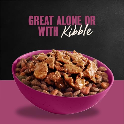 Image of Cesar Filets in Gravy Wet Dog Food, Prime Rib Flavor, 3.5 oz, 24 Count | Real meat, easy to digest, no fillers, no added sugar, no artificial flavors, slow-cooked tender texture, easy peel trays