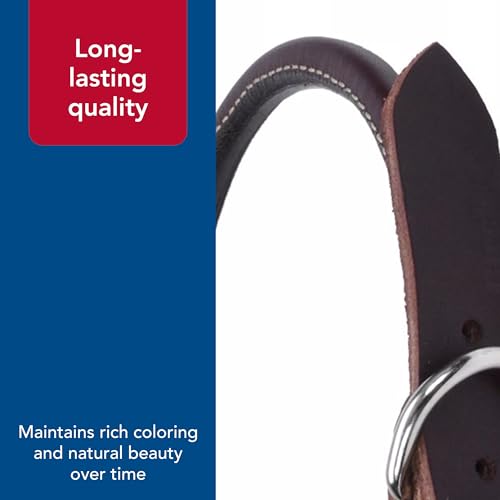 Coastal Pet Latigo Leather Collar