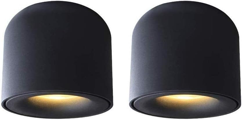 SSDDLZEQ Iluminación Focos de techo LED, luz de acento, luz descendente montada en superficie, 7W, 3000K/4000K, foco antideslumbrante de aluminio for galería de pasillo y pasillo(Nero,Natural light)