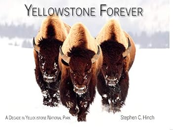 Paperback Yellowstone Forever: A Decade in Yellowstone National Park Book
