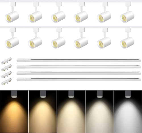 Vanoopee ITK10W5CCTW12 5-Color 12-Light Led Track Lighting Kit cover