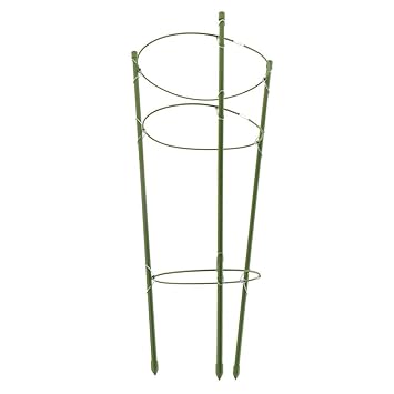 Droppedo Imported Plant Support Rings Garden Trellis Climbing Plants Flowers Grow Cage 45cm (60018327DP)
