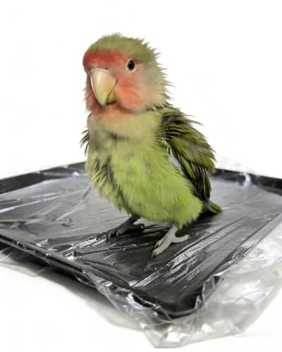 Disposable Bird Cage Liner Bags 100-Pack - 23