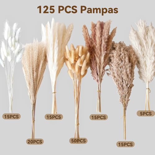 125 Stück Getrocknete Pampasgras Deko Natürliche Schilfgrasstrauß Boho Blumen mit Hasenschwanz Schilfgras für Hochzeiten, Baby Dusche Heimdekoration Rustikale Trockenblumen Arrangements