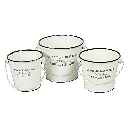 mΑn oPc 3Zbg CeA u zCg Vv S oPbg AeB[N X`[ 32040