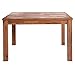 New Pacific Direct Tiburon Square Dining Table,Solid Acacia Wood,Amber Brown