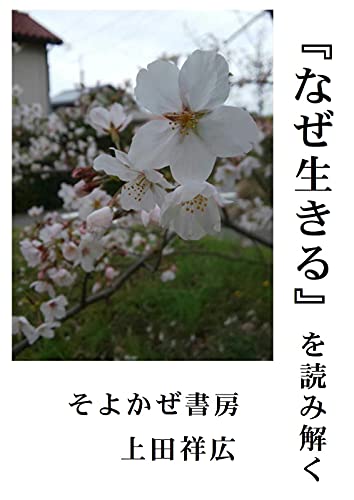 Amazon Co Jp なぜ生きる を読み解く Ebook 上田祥広 本 Amazon Co Jp なぜ生きる を読み解く Ebook 上田祥広 本