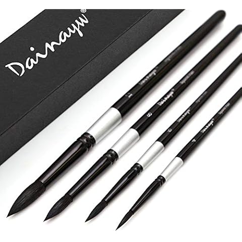 Dainayw Round Watercolor Paint Brushes 4Pcs Squirrel Hair Professional Brush for Artist Painting Watercolors, Acrylics, Inks,Gouache and Tempera, Black Handle Cover
