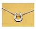 Baydurcan Horseshoe Necklace Horseshoe Pendant Chain Necklace with Message Card Gift Card (horseshoe s)