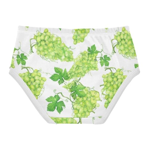 Joisal Girls Underwear Toddlers 2t Cotton Panties for Girl Aesthetic Undies Kids Briefs Watercolor Green Grapes White2
