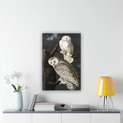 Hiboux des neiges Audubon idee cadeau originale deco chambre