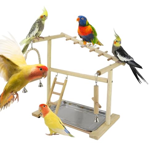 IEvCOEh | ؐ̃uRƃnVŜ - O\ȃXeXgCƃJbvAIJCRvCOEhp[`t |  GTT P P[W ANZT[ CR P[W