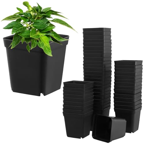 QWORK® Paquete de 100 Macetas pequeña de 6 cm, Macetas cuadradas de plastico para Semillas, esquejes, Plantas y más