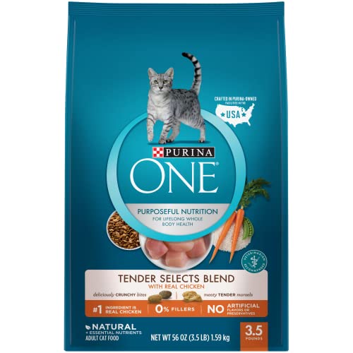 Soft Dry Cat Food for Older Cats in 2021 (with Reviews!)