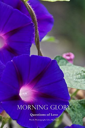 Morning Glory: Questions of Love (Small Stories for Big Hearts)
