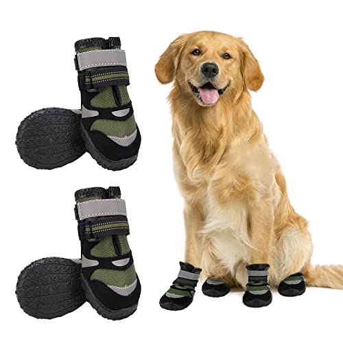 Top 10 Dog Boots For Hiking of 2022 Katynel