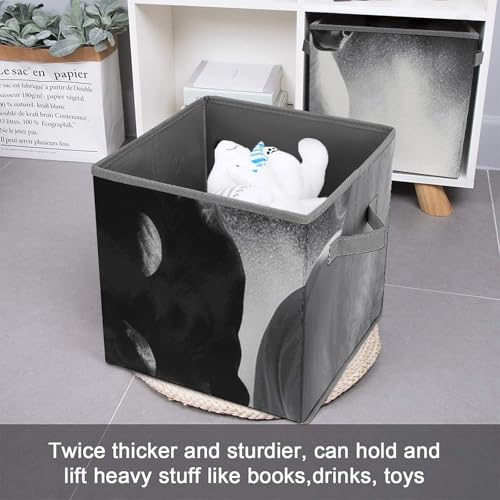 Cube de rangement pliable chevaux au design noir et blanc moderne - 4