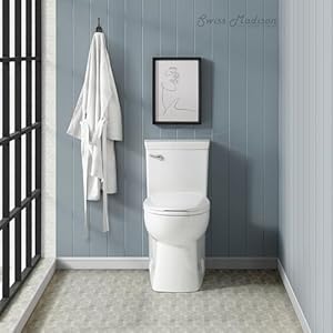 Swiss Madison Well Made Forever SM-1T116 Classe One Piece Toilet with Front Flush Handle 1.28gpf, Glossy White Swiss Madison Well Made Forever SM 1T116 Classe One Piece Toilet with Front Flush Handle 128gpf Glossy White