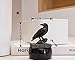 EASCHEER Raven On Rock Statue 3