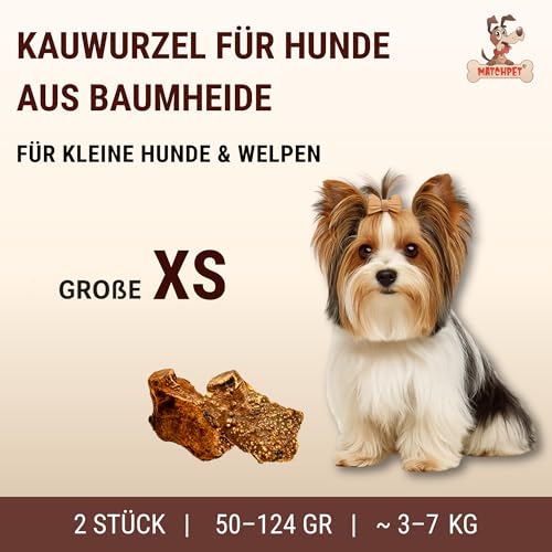 Kauwurzel für Hunde aus Baumheide Natürlicher Kausnack aus Hartholz Langlebig & splitterfrei Extra Kleine 2 Stück