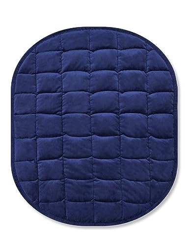 TONGDADA Weighted Lap Blanket 7lbs for Adult,Perfect for Relaxation, Lounging, Napping, Sleeping & Travel,Luxury Minky Weighted Body Blanket,Weighted Throw Blanket-Navy Minky, 29" x 24"