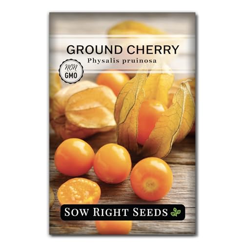 Sow Right Seeds - Ground Cherries Seeds for Planting - Non-GMO Heirloom Packet with Instructions to Plant an Outdoor Home Vegetable Garden - Mexican Husk Tomato - Endangered Variety (1)