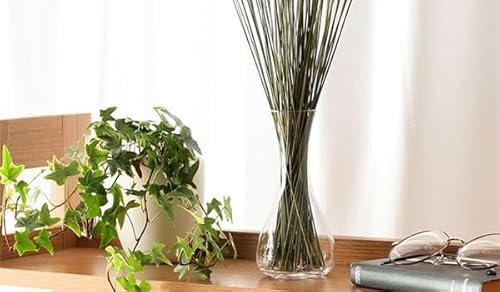 �T�X�e�B�i�u�� ���R�f�� ���Y ���� ���C �C���e���A �u�� �I�u�W�F �i�`������ ��30cm ��30g top1-ds-2471447 [�Ǝ��ȈՕ]