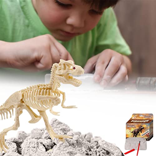 Brinquedos de esqueleto de dinossauro para crianças | Dinosaur Dig Kit Esqueleto de Escavação Conjun