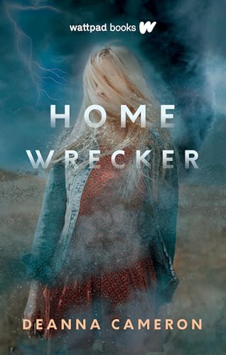 Homewrecker view 2