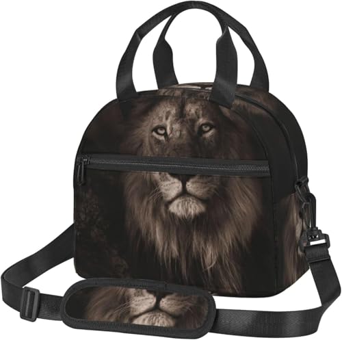 3d CI tH[  `obO ۗ ۉyʒfM 񂰐Hi[ |[^u `obO  AEghA Lv ʋ΁Eʊwp y [֗