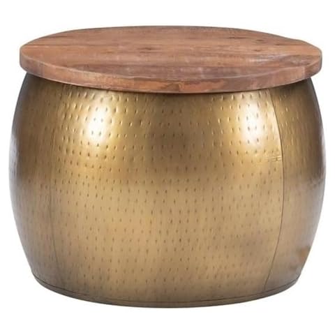 Allora 16" x 22.5" Modern/Contemporary Metal Drum End Table/Decorative Accent Table with Storage, Removable Mango Wood Top, Fully Assembled, in Brass Finish Cover