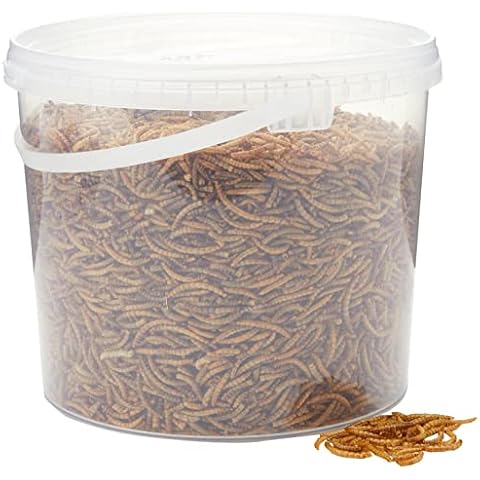 Premium Dried Mealworms, 5 Litre Tub Cover