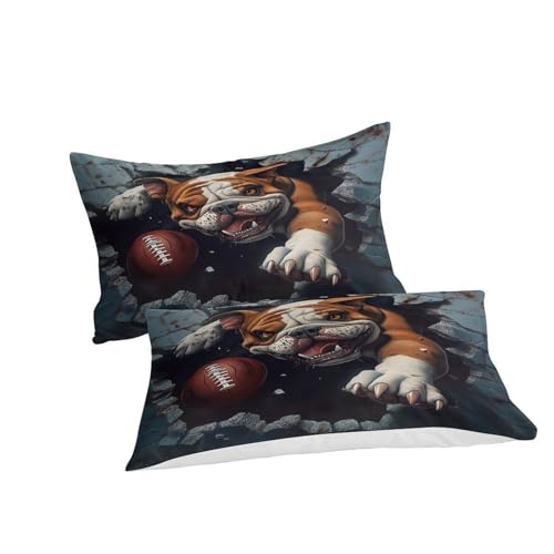 Housse de couette 3D microfibre de qualité supérieure Flamenco