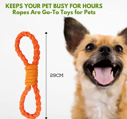 Image of Foodie Puppies Durable Pet Teeth Cleaning Chewing Biting Knotted Small Puppy Toys | 8-Shaped Durable Dog Training Toy for Medium Dogs with Natural Cotton (Shackle Rope Toy) | (Color May Vary)