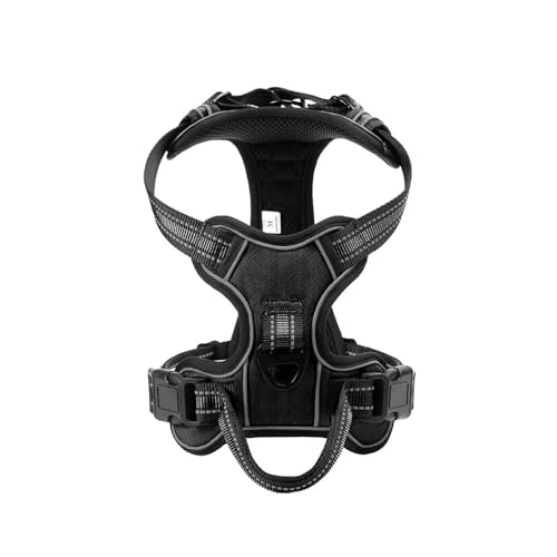 vȂ\ȒʋCiCOˌpn[lXƐnhtuhbO`pO,,L