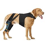 Marnonsis Dog Knee Brace for Torn Acl Hind Leg, Adjustable for Back Leg with 4 Stabilizers, Reduces Pain, Ligament Injuries & Luxating Patella for Small Medium Large Dogs,(Solid Black-2XL)