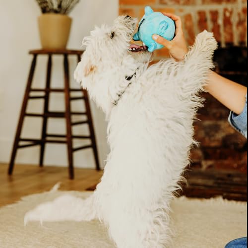 Pelota mordible mediana para perros con aroma a mantequilla de maní miniatura 2