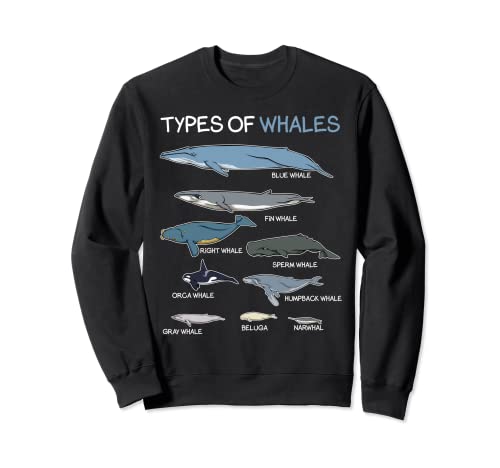 Types Of Whales Ocean Creatures Fish Mammal Lovers Water Sudadera